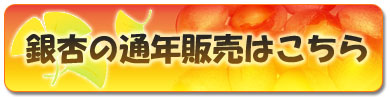 銀杏の通年販売はこちら