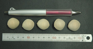 ЂŔ̔Ăǂ̑傫iRkTCYj